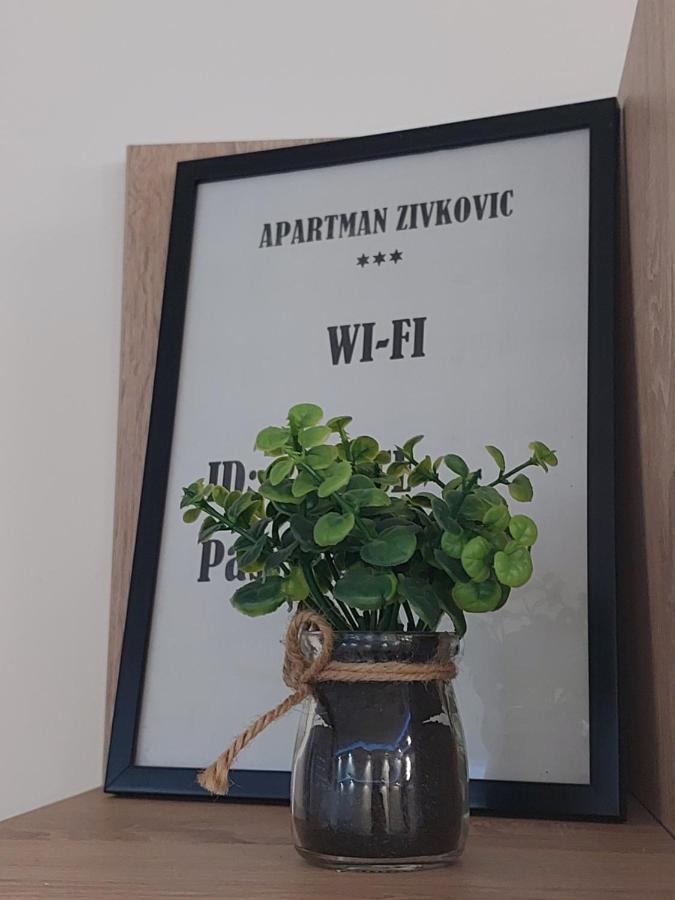 Apartman Zivkovic Leskovac  Exterior foto